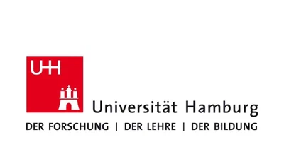 Memory Efficient Volumetric Deep Neural Network for Digital Volume Correlation featured image